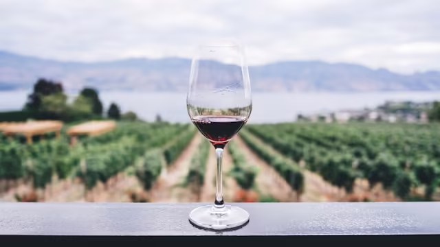 Charter bus for wine tour transportation